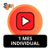 YOUTUBE 1 MES