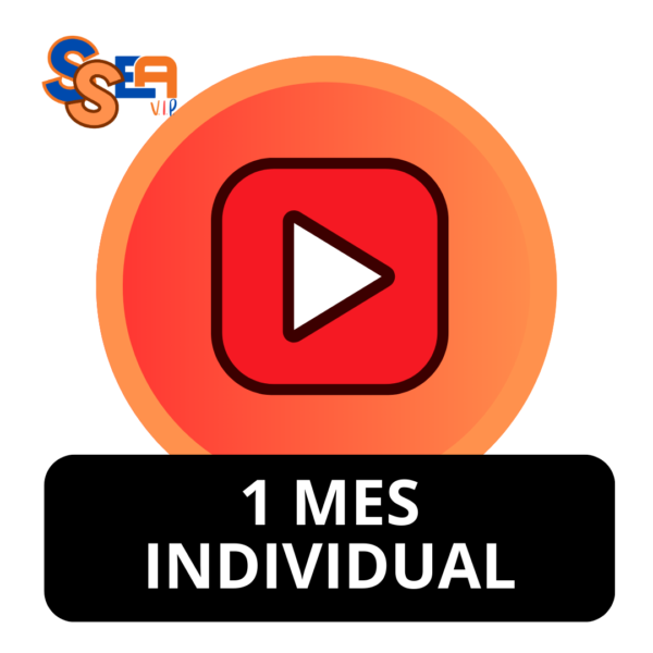 YOUTUBE 1 MES